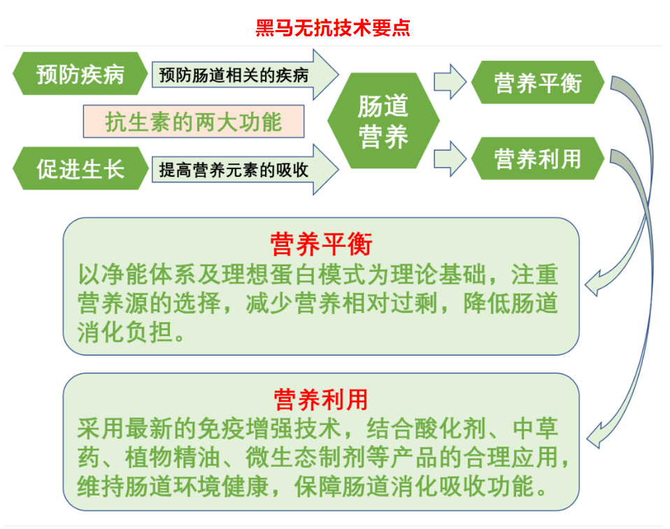 無抗新技術(shù)，..